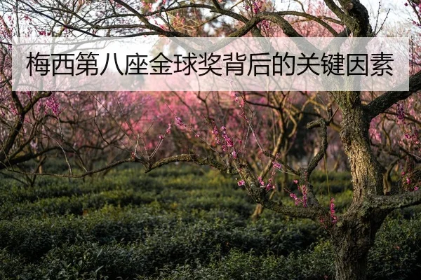 梅西第八座金球奖背后的关键因素