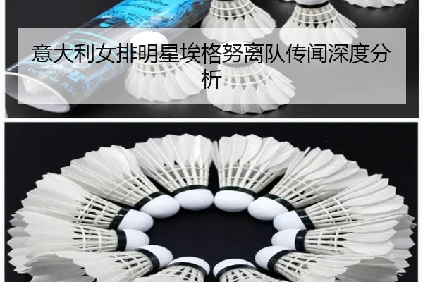 意大利女排明星埃格努离队传闻深度分析