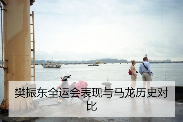 樊振东全运会表现与马龙历史对比