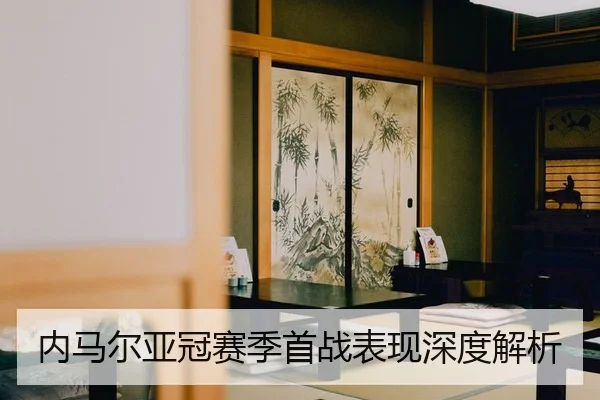 nei-ma-er-ya-guan-sai-ji-shou-zhan-biao-xian-shen-du-jie-xi-2-117.jpg